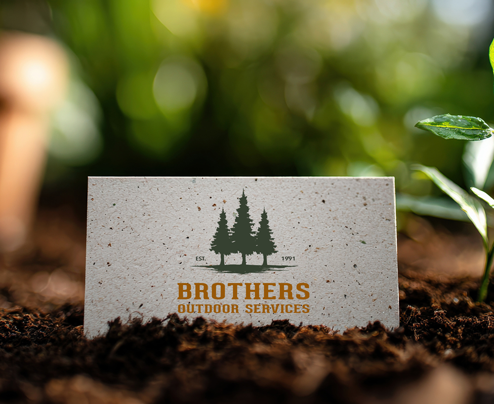 Blank card mockup with young plant growing in soil outdoors Conc